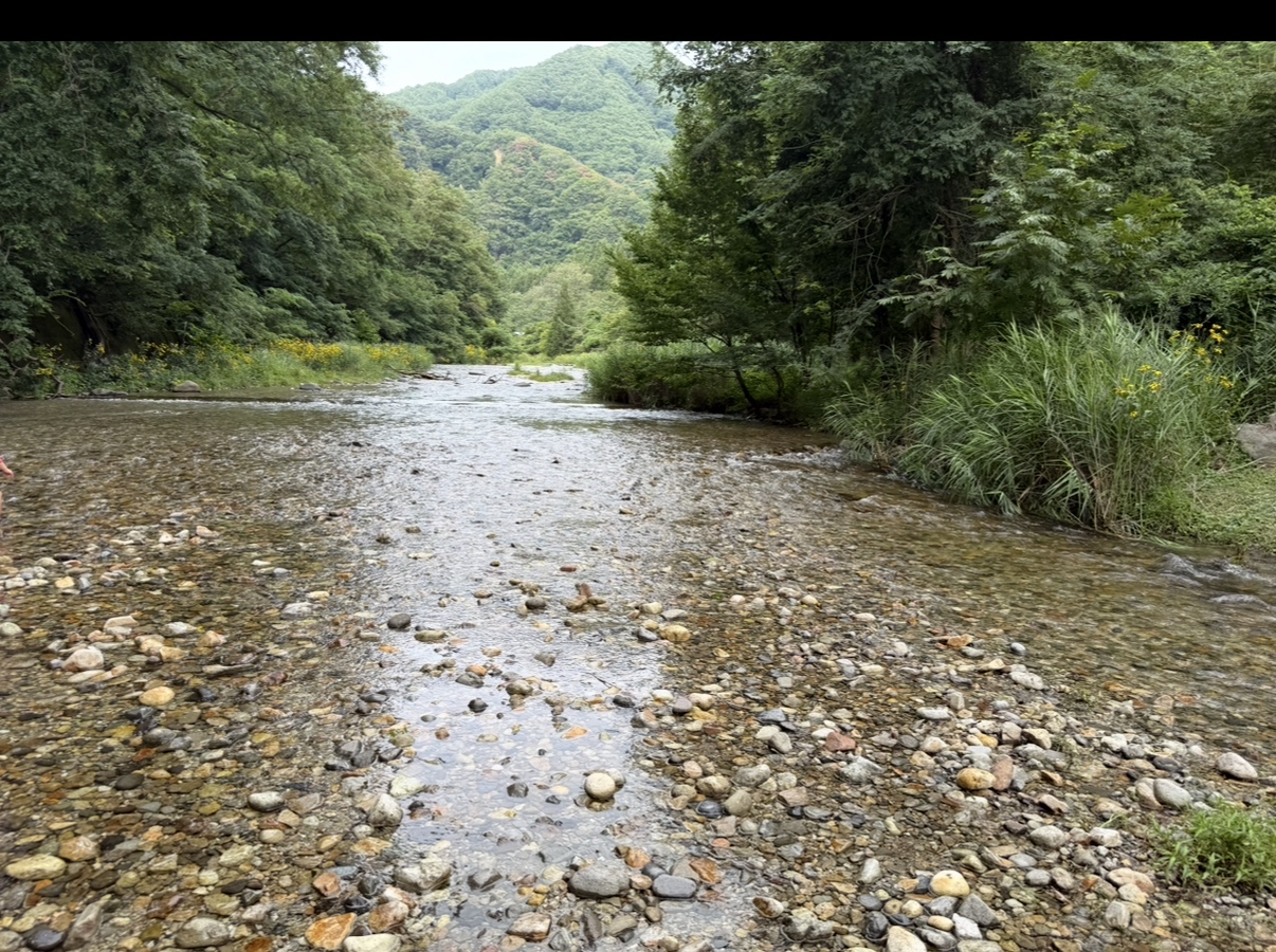 石が見えるほど澄んだ浅い川